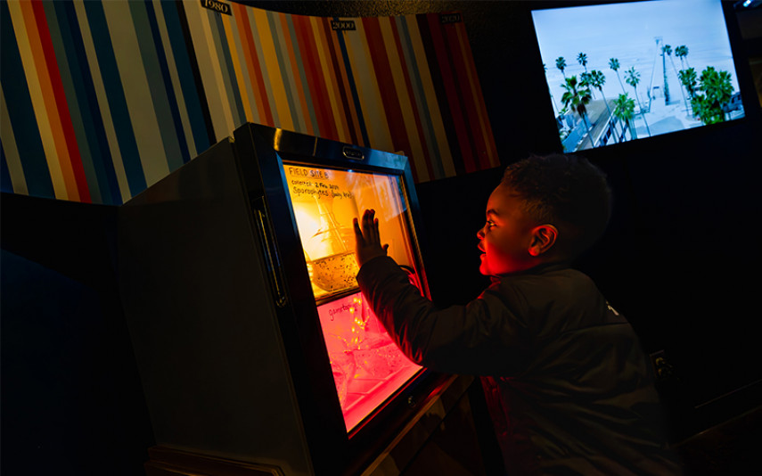 A young guest interacts with the kelp propagation display, their face is lit in the red and yellow light